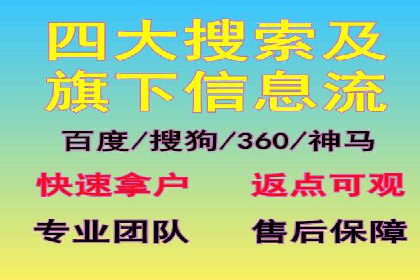 百度竞价与搜索引擎优化（SEO）结合的经典案例